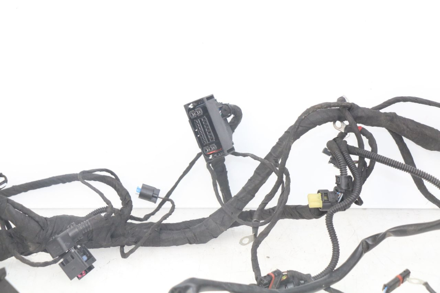 photo de WIRE HARNESS BMW F GS K81 850 (2018 - 2023) - Checked used part