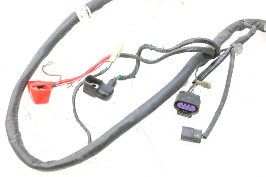 photo de WIRING HARNESS JM MOTORS F45i 4T 50 (2020 - 2023) - Alternative perspective