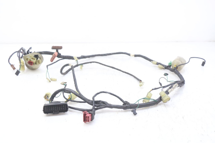 photo de WIRING HARNESS HONDA FES PANTHEON 2T 125 (1998 - 2002) - Main view