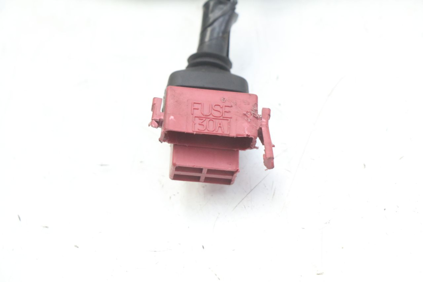 photo de WIRING HARNESS HONDA FES PANTHEON 2T 125 (1998 - 2002) - Zoom on usage condition