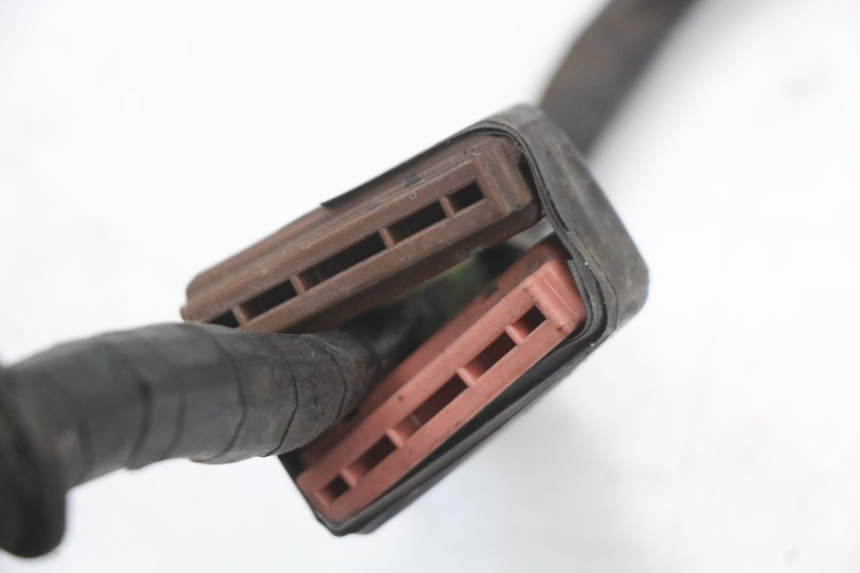 photo de WIRING HARNESS HONDA FES PANTHEON 2T 125 (1998 - 2002) - Fixing points details