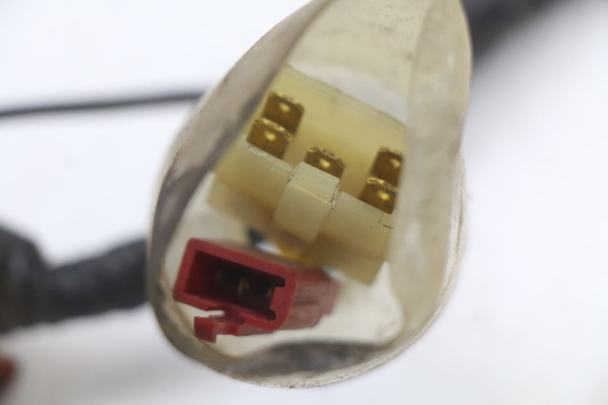 photo de WIRING HARNESS HONDA FES PANTHEON 2T 125 (1998 - 2002) - Markings and original references