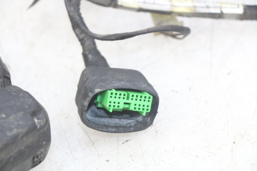 photo de WIRING HARNESS HONDA FES PANTHEON 125 (2003 - 2007) - Checked used part