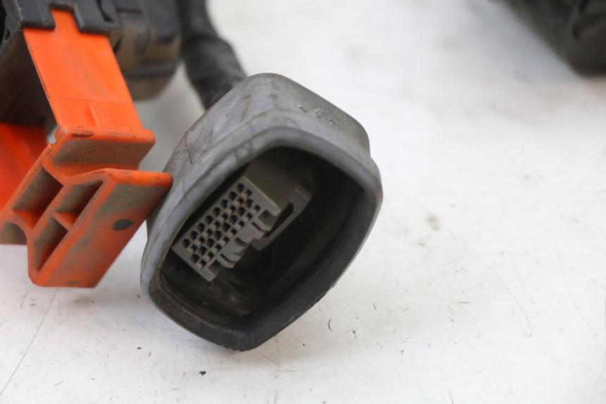 photo de WIRING HARNESS HONDA FES S-WING SWING ABS 125 (2007 - 2015) - Spare part profile view