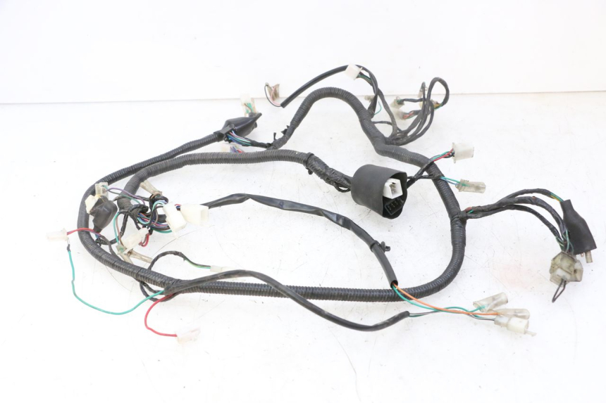 photo de WIRE HARNESS STAHO FH 50 (2018 - 2019) - Component detail