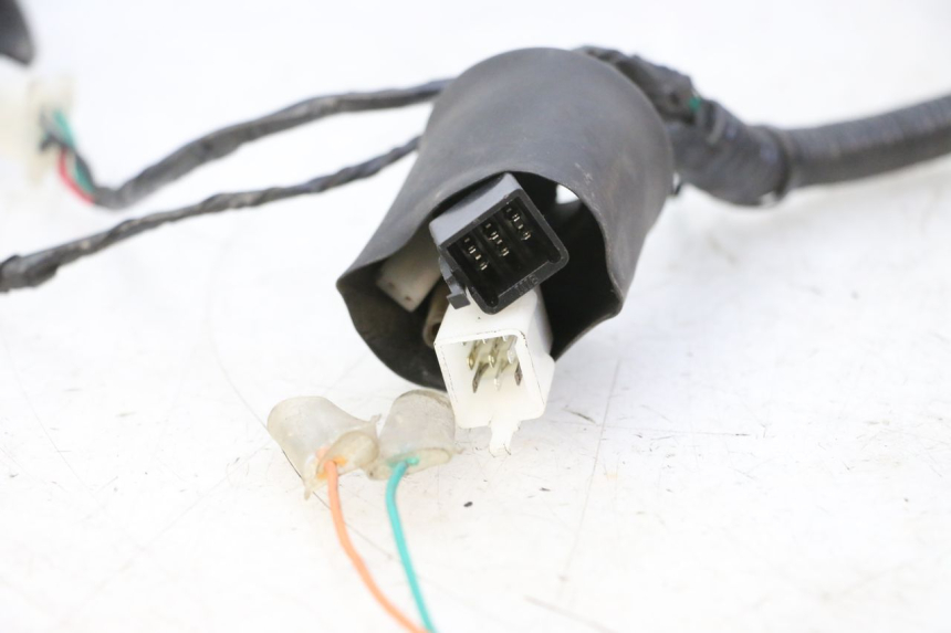 photo de WIRE HARNESS STAHO FH 50 (2018 - 2019) - Zoom on usage condition