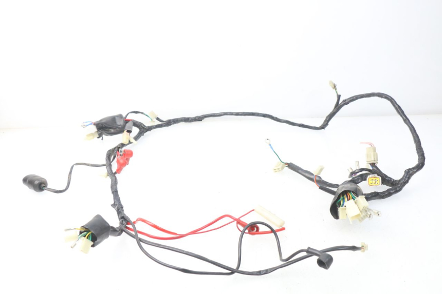 photo de WIRE HARNESS EUROCKA FIFTY 50 (2013 - 2022) - Main view