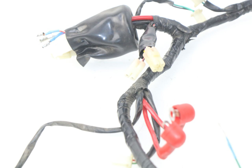 photo de WIRE HARNESS EUROCKA FIFTY 50 (2013 - 2022) - Component detail