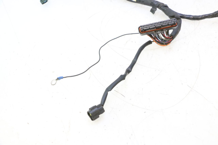 photo de WIRE HARNESS YAMAHA FJR 1300 (2001 - 2005) - Technical close-up