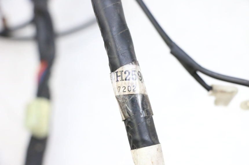 photo de WIRE HARNESS MBK FLAME X 125 (2007 - 2016) - Technical close-up
