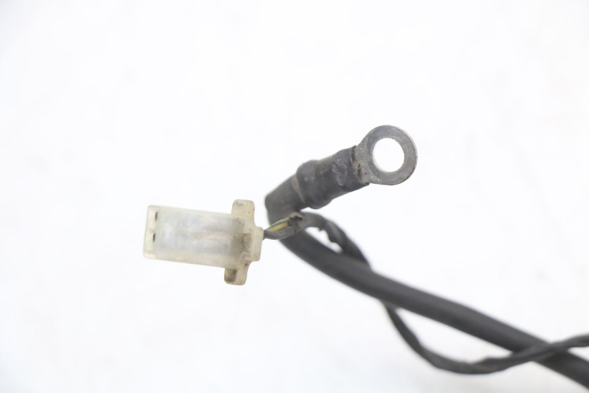 photo de WIRE HARNESS PIAGGIO FLY 4T 50 (2004 - 2010) - Technical close-up