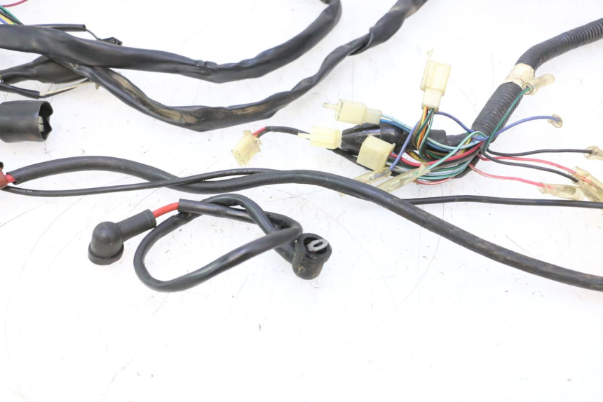 photo de WIRE HARNESS KEEWAY FOCUS 50 (2006 - 2009) - Distinctive features