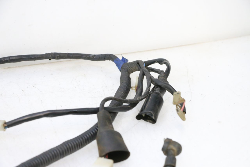 photo de WIRE HARNESS KEEWAY FOCUS 50 (2006 - 2009) - Checked used part