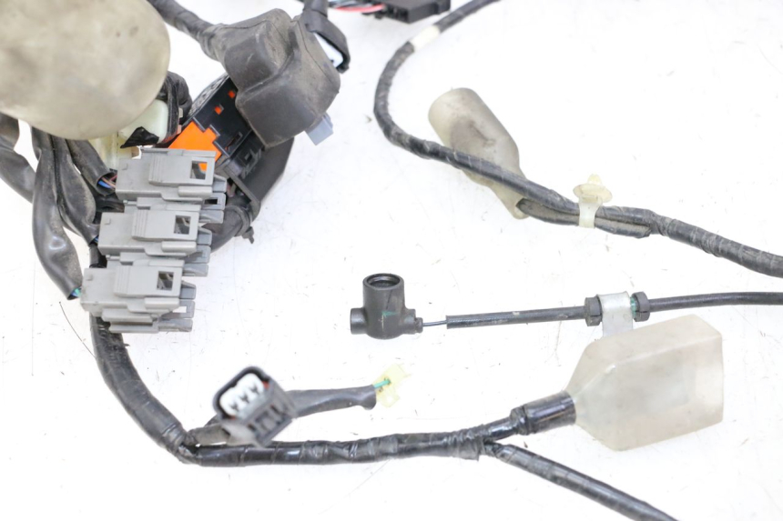 photo de WIRE HARNESS HONDA FORZA ABS 300 (2013 - 2017) - Checked used part