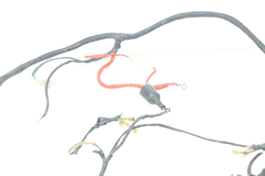 photo de WIRE HARNESS SACHS FY125T FY T 125 (2007 - 2011) - Alternative perspective