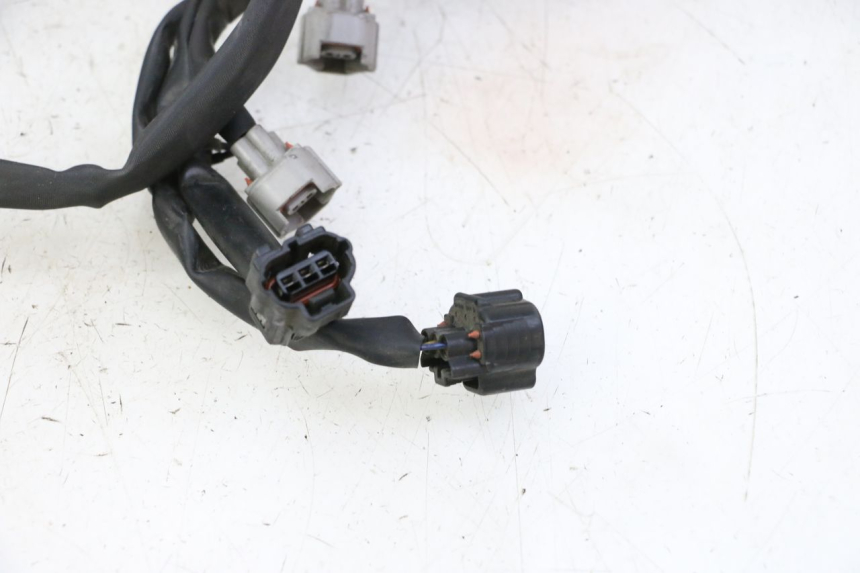 photo de WIRE HARNESS YAMAHA FZ6 FAZER S2 600 (2007 - 2011) - Alternative perspective