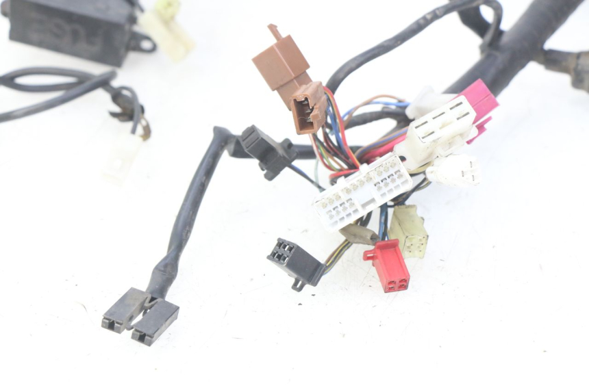 photo de WIRING HARNESS YAMAHA FZS FAZER 600 (1998 - 2001) - Alternative perspective