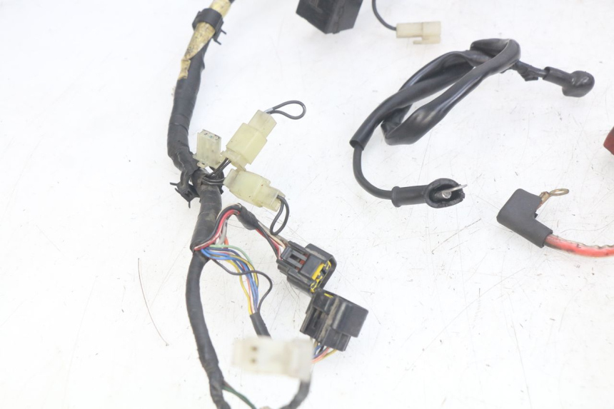 photo de WIRING HARNESS YAMAHA FZS FAZER 600 (1998 - 2001) - Distinctive features
