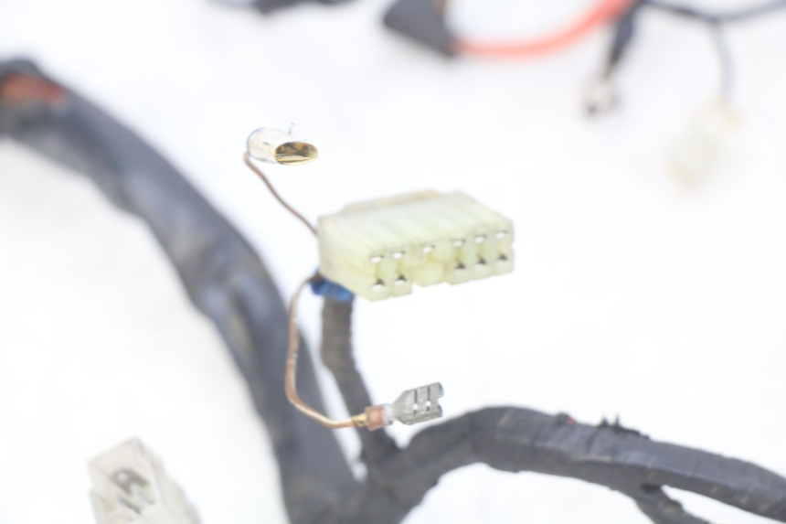 photo de WIRING HARNESS YAMAHA FZS FAZER 600 (1998 - 2001) - Product overview