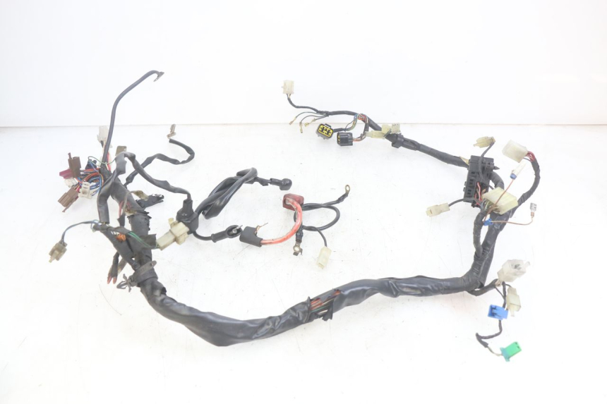 photo de WIRING HARNESS YAMAHA FZS FAZER 600 (1998 - 2001) - Checked used part