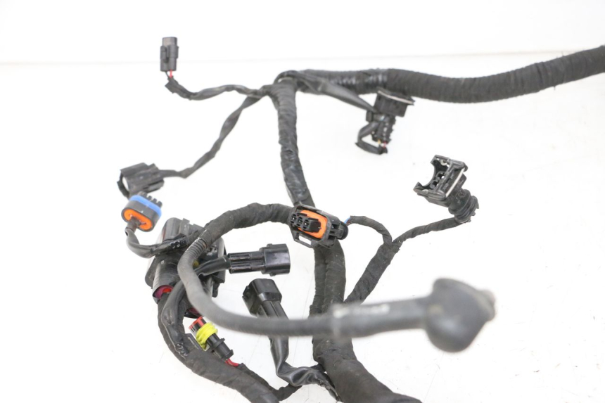 photo de WIRE HARNESS BMW G310 R 310 (2016 - 2020) - Product overview