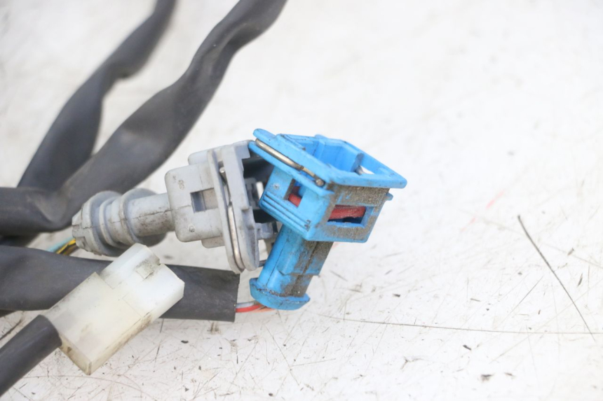 photo de WIRE HARNESS PEUGEOT GEOPOLIS RS 125 (2007 - 2009) - Component detail
