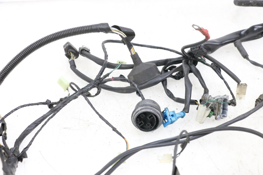photo de WIRE HARNESS PEUGEOT GEOPOLIS RS 125 (2007 - 2009) - Component detail