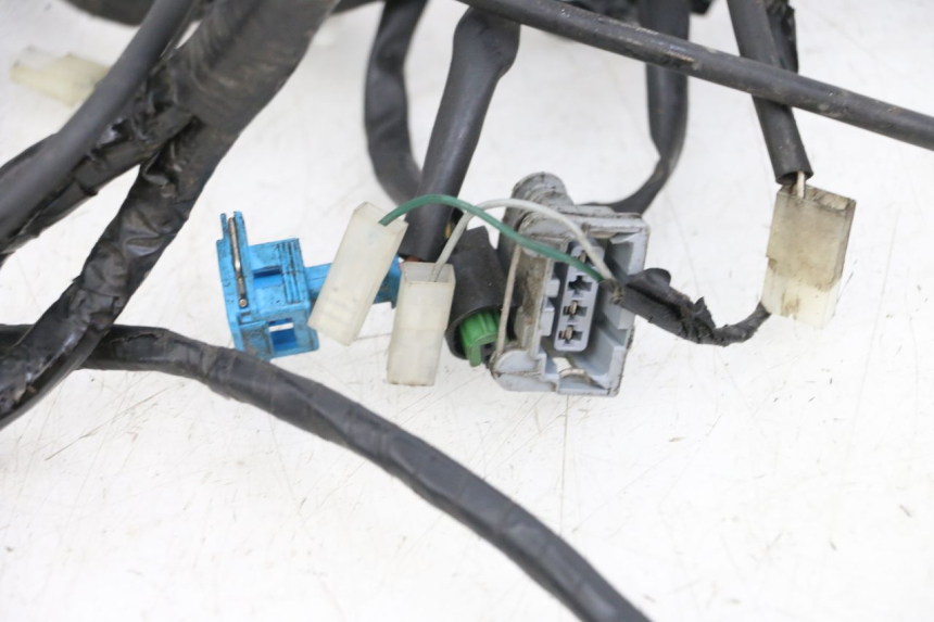 photo de WIRE HARNESS PEUGEOT GEOPOLIS RS 125 (2007 - 2009) - Technical close-up