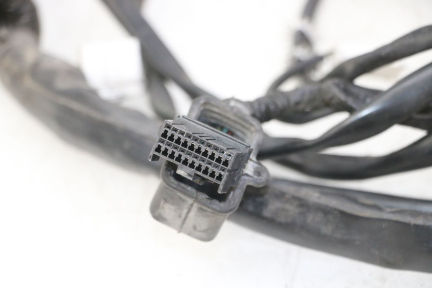 photo de WIRE HARNESS GILERA NEXUS 300 (2008 - 2013) - Alternative perspective