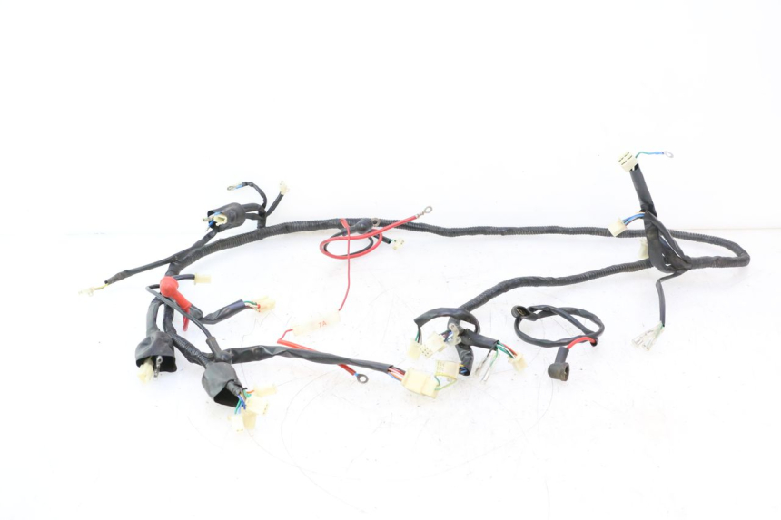 photo de WIRE HARNESS VASTRO GP 2T 50 (2013 - 2017) - Main view