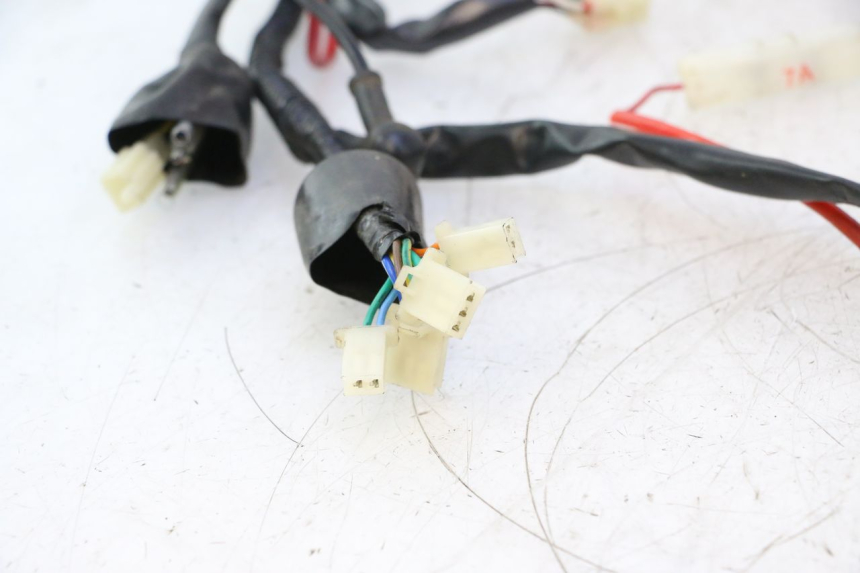 photo de WIRE HARNESS VASTRO GP 2T 50 (2013 - 2017) - Distinctive features