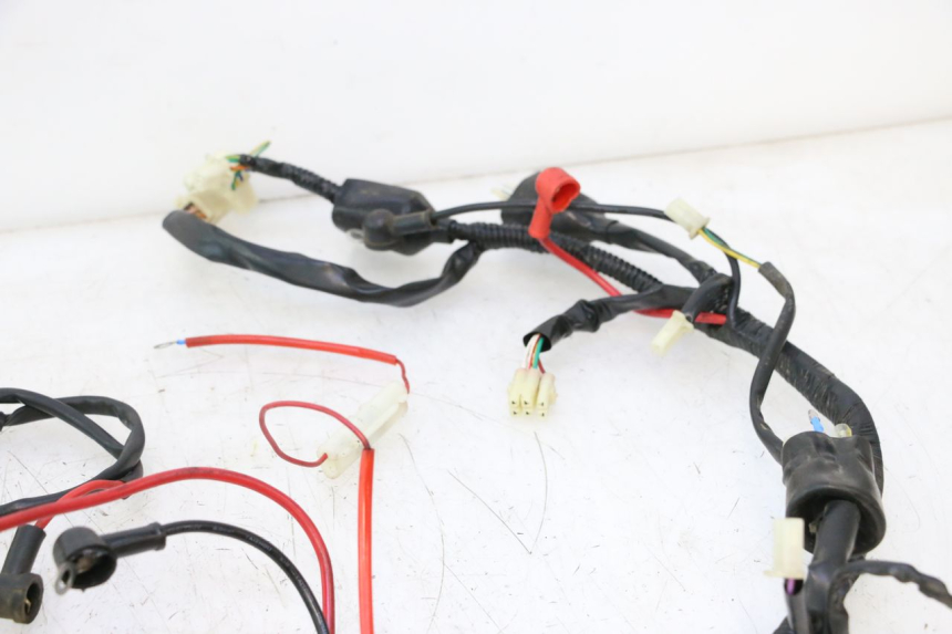 photo de WIRE HARNESS VASTRO GP 2T 50 (2013 - 2017) - Alternative perspective