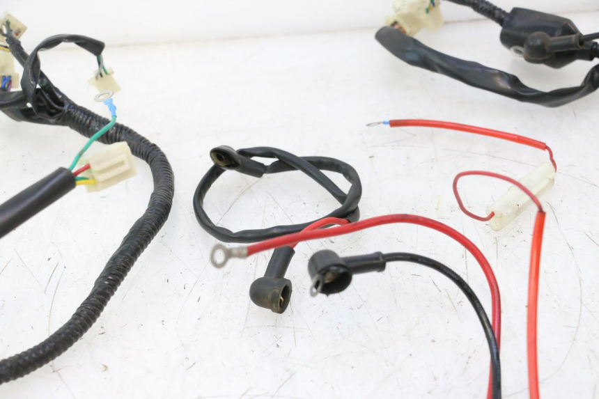 photo de WIRE HARNESS VASTRO GP 2T 50 (2013 - 2017) - Technical close-up
