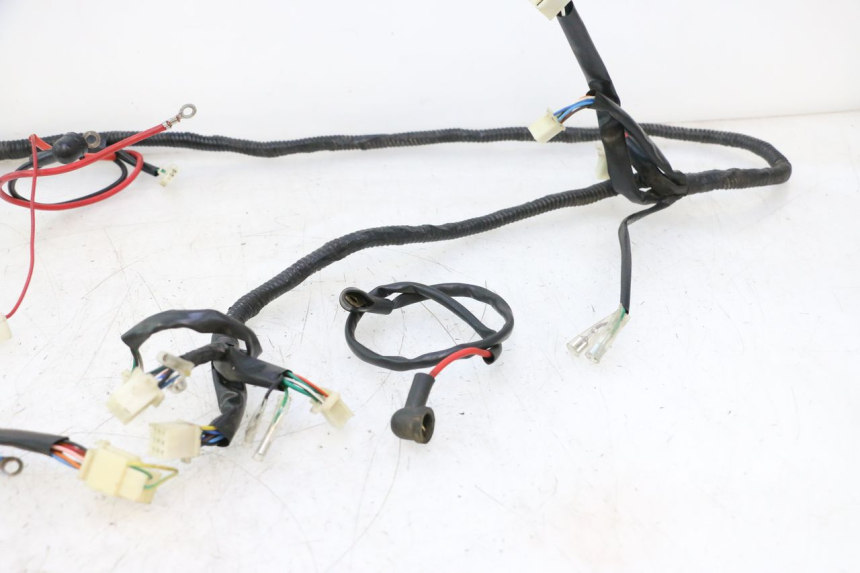 photo de WIRE HARNESS VASTRO GP 2T 50 (2013 - 2017) - Markings and original references