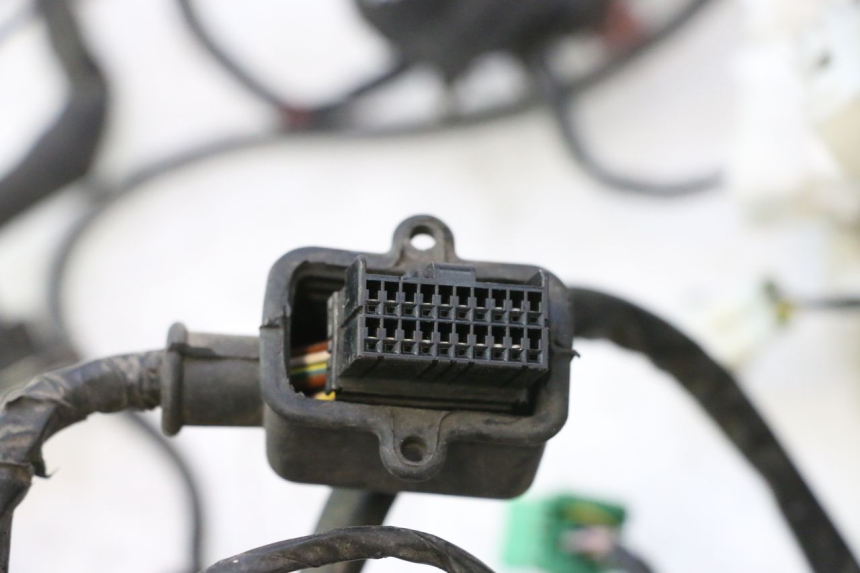 photo de WIRE HARNESS GILERA GP 800 (2007 - 2013) - Distinctive features