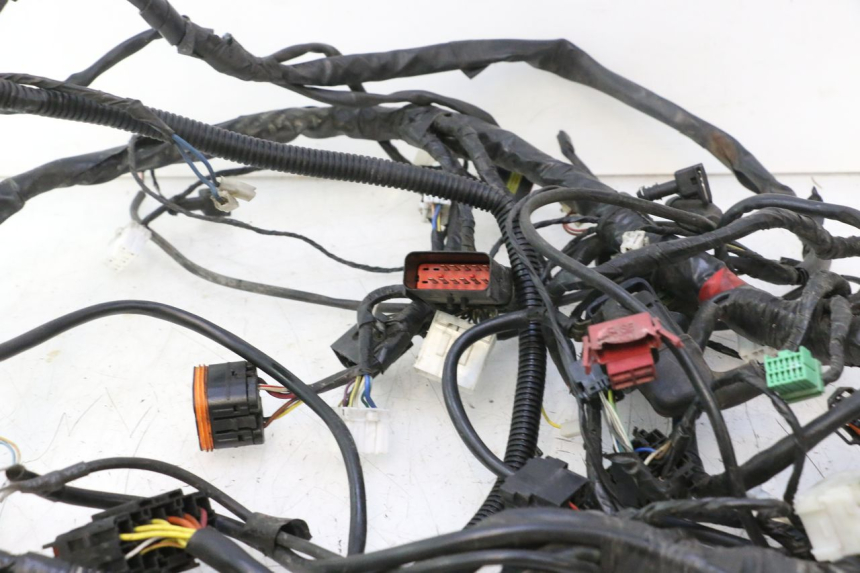 photo de WIRE HARNESS GILERA GP 800 (2007 - 2013) - Focus on structure