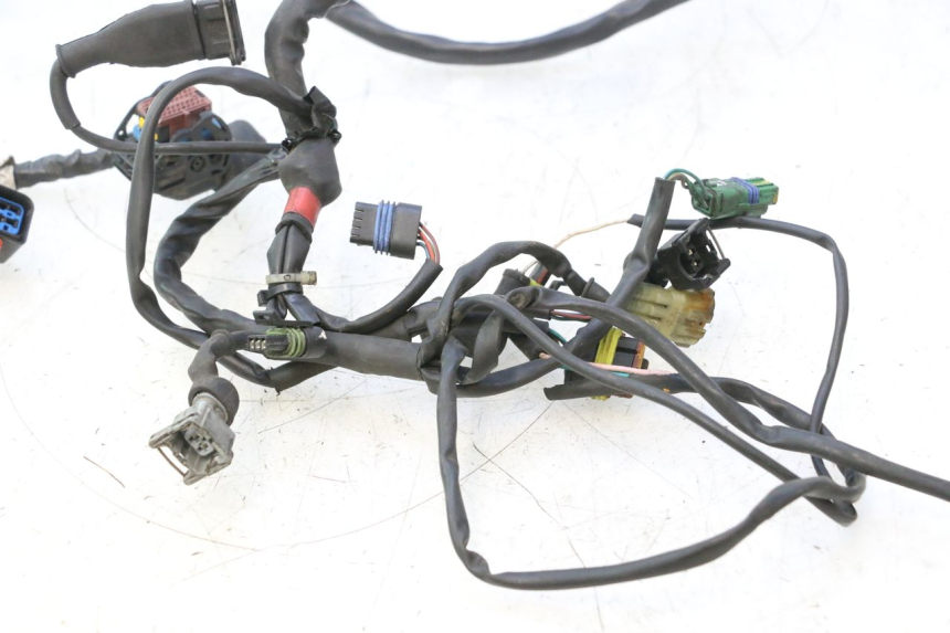 photo de WIRE HARNESS GILERA GP 800 (2007 - 2013) - Component detail