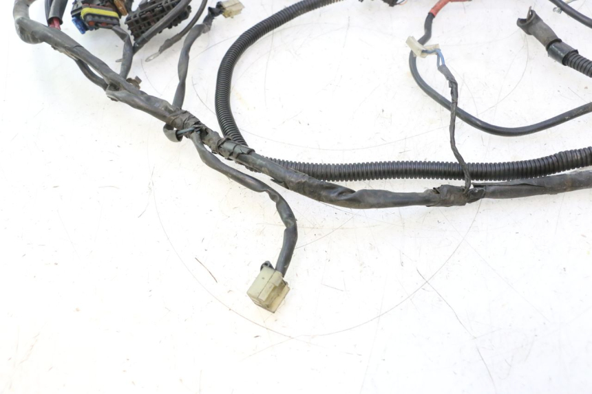 photo de WIRE HARNESS GILERA GP 800 (2007 - 2013) - Alternative perspective