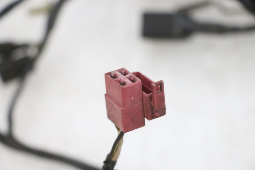 photo de WIRE HARNESS KAWASAKI GPX R WARBIRD 600 (1988 - 1993) - Fixing points details