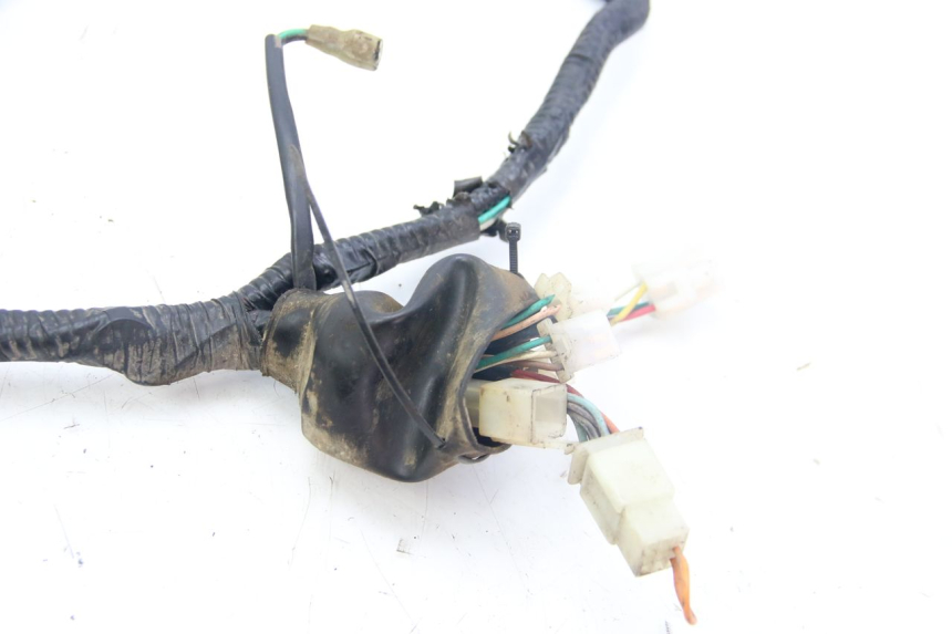 photo de WIRING HARNESS TNT MOTOR GRIDO 2T 50 (2010 - 2019) - Component detail