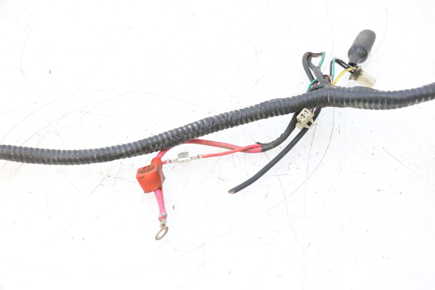 photo de WIRING HARNESS TNT MOTOR GRIDO 2T 50 (2010 - 2019) - Technical close-up