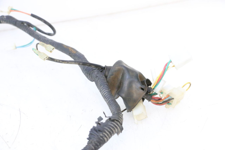 photo de WIRING HARNESS TNT MOTOR GRIDO 2T 50 (2010 - 2019) - Checked used part