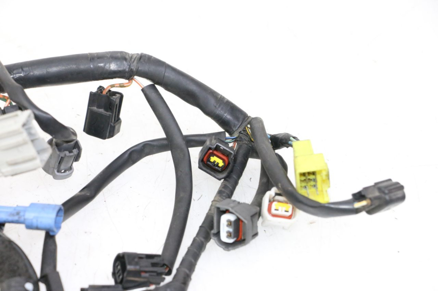 photo de WIRE HARNESS SUZUKI GSR 750 (2011 - 2017) - High-resolution close-up