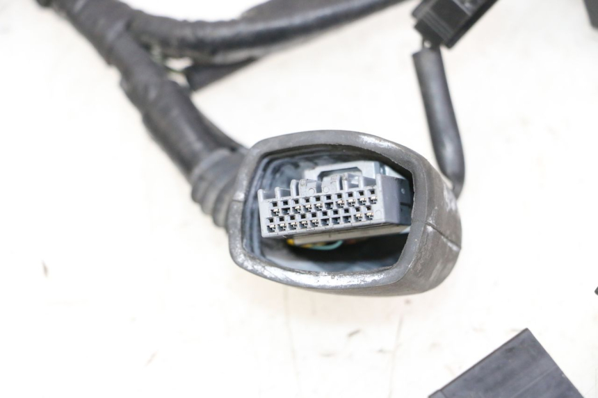 photo de WIRE HARNESS SUZUKI GSR 750 (2011 - 2017) - Product overview