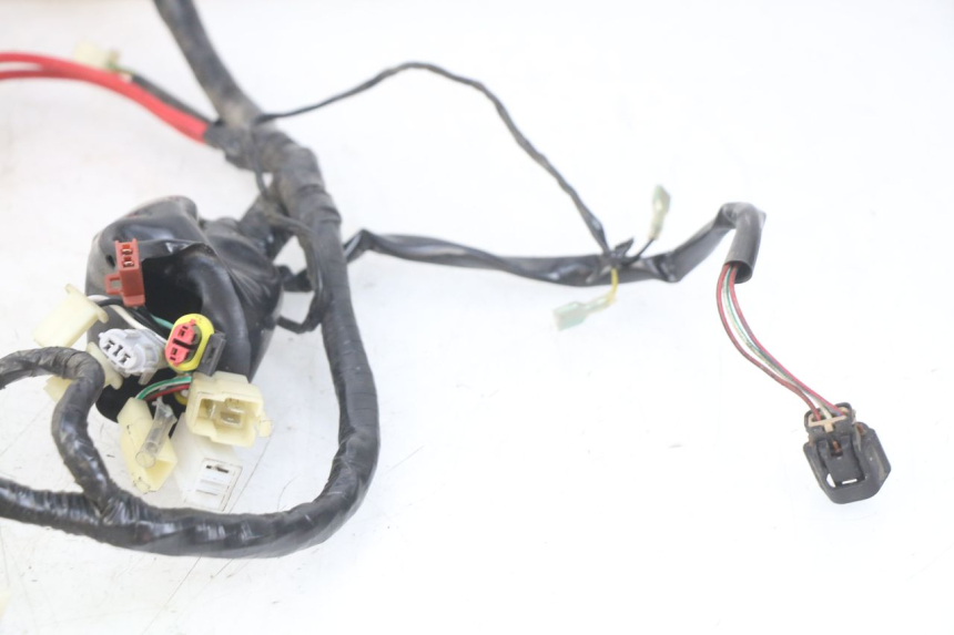 photo de WIRING HARNESS EUROCKA GTR 50 (2007 - 2017) - Zoom on usage condition