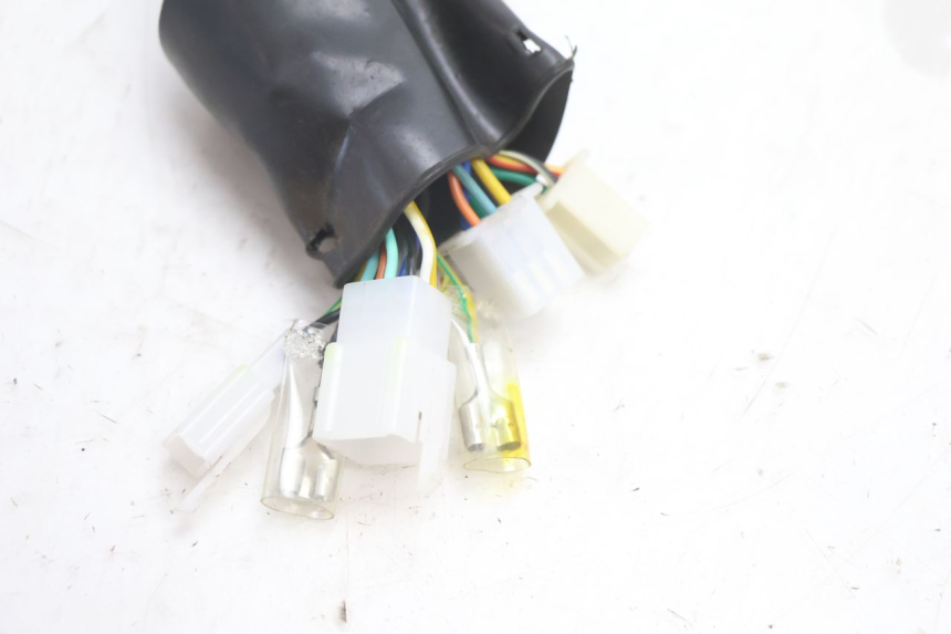 photo de WIRING HARNESS EUROCKA GTR 50 (2007 - 2017) - Product overview
