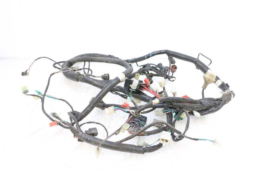 photo de WIRE HARNESS SYM GTS EVO 125 (2009 - 2013) - Main view