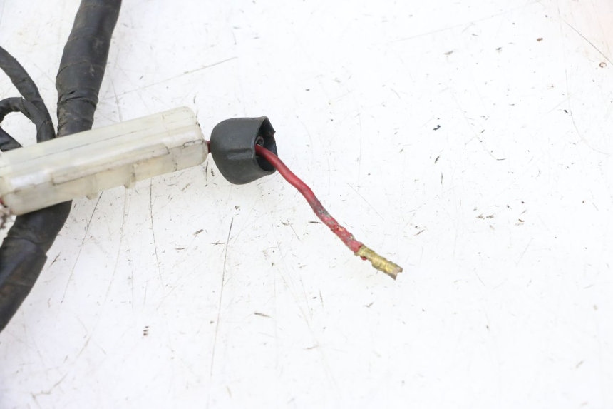 photo de WIRING HARNESS DAELIM HISTORY 125 (2001 - 2002) - Alternative perspective