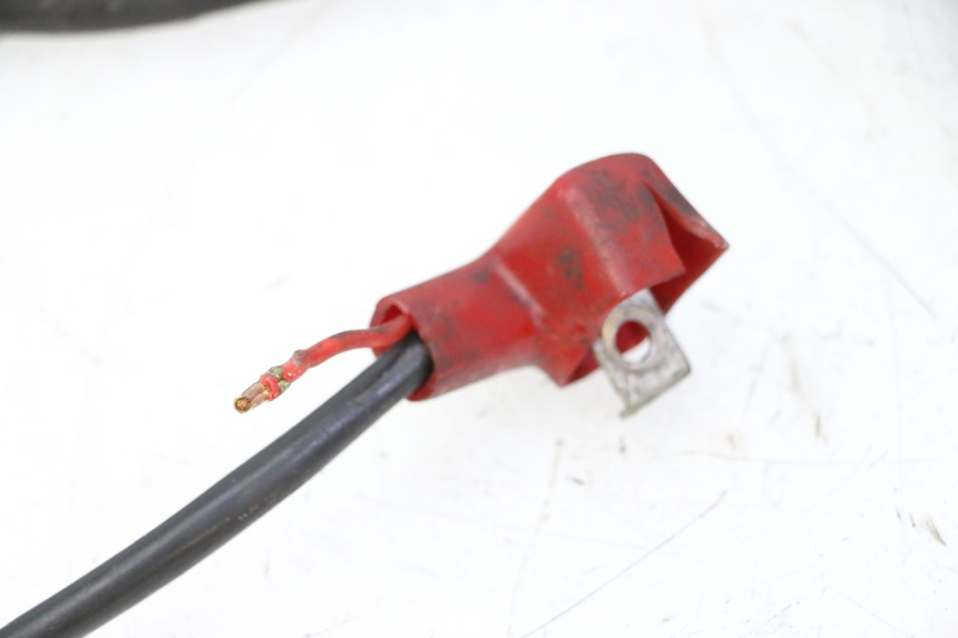 photo de WIRING HARNESS DAELIM HISTORY 125 (2001 - 2002) - Product overview