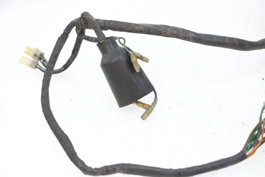 photo de WIRING HARNESS DAELIM HISTORY 125 (2001 - 2002) - Surface and material condition
